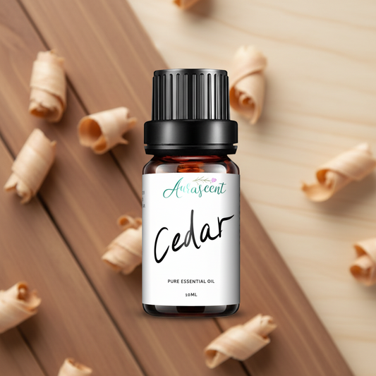 Cedar Essential Oil