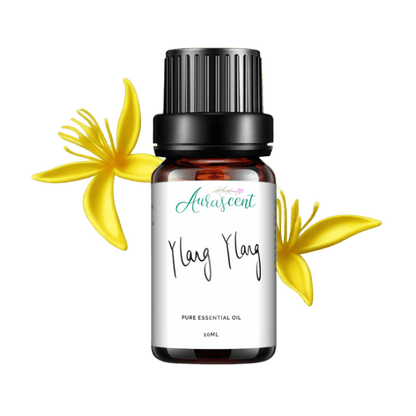 Ylang Ylang Essential Oil